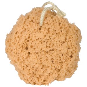 Round Synthetic Sponge